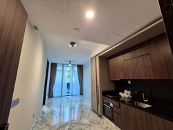 Van Holland (D10), Condominium #511294961